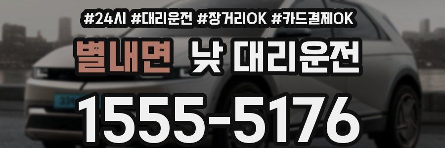 별내면 낮 대리운전