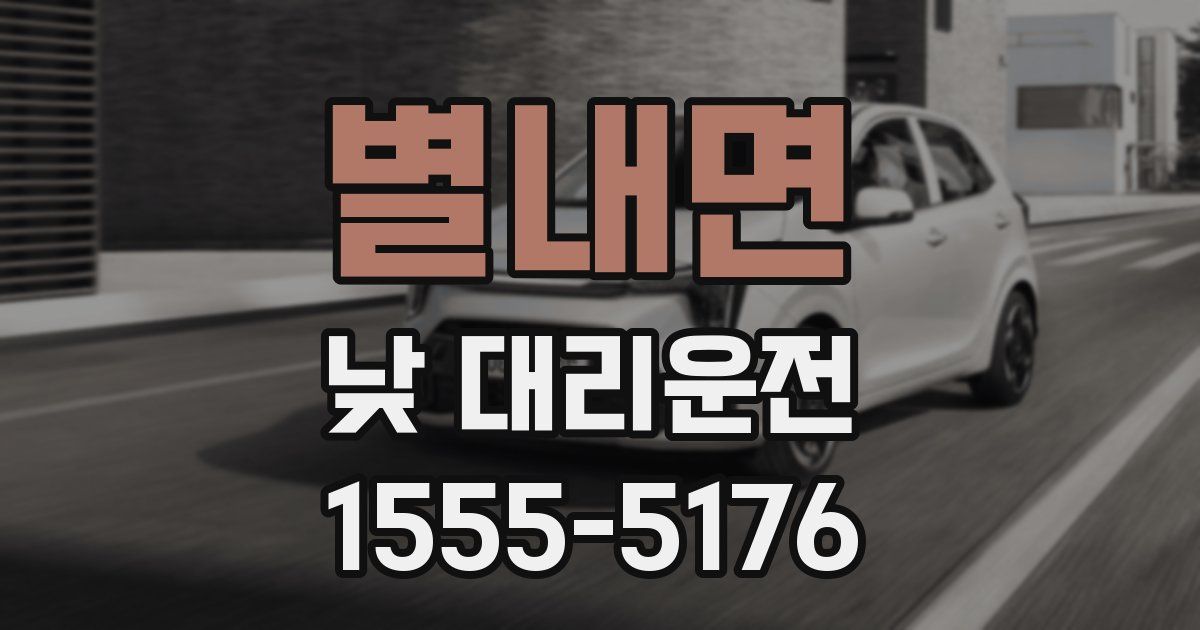 별내면 낮 대리운전