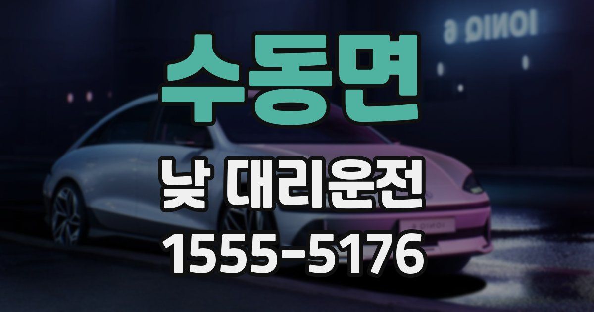 수동면 낮 대리운전