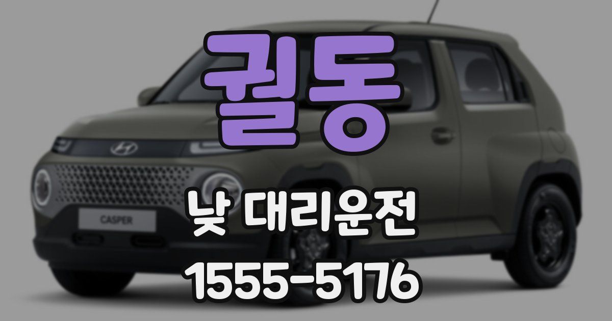 궐동 낮 대리운전