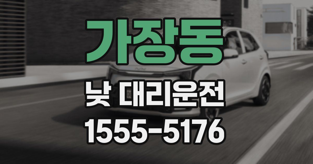 가장동 낮 대리운전
