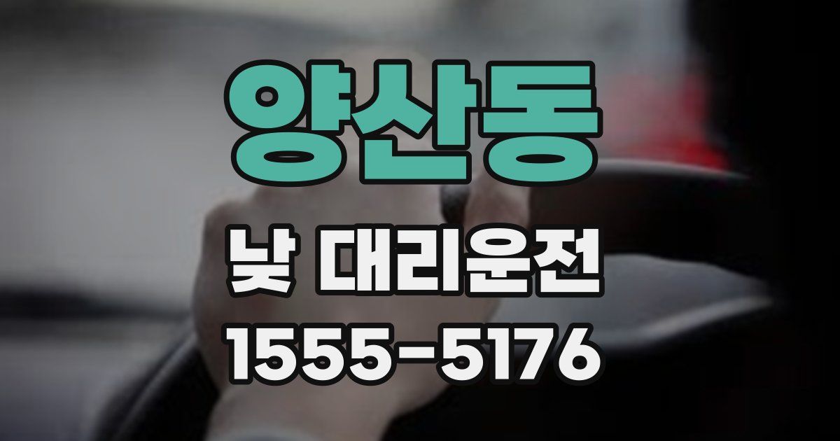 양산동 낮 대리운전