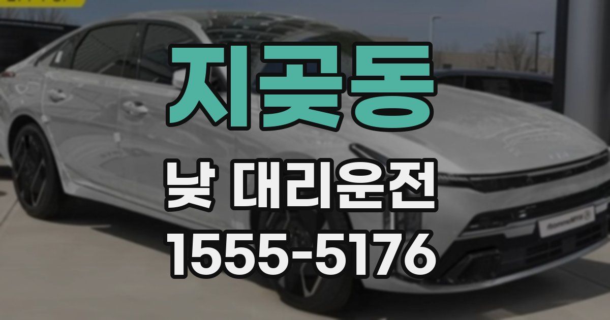 지곶동 낮 대리운전