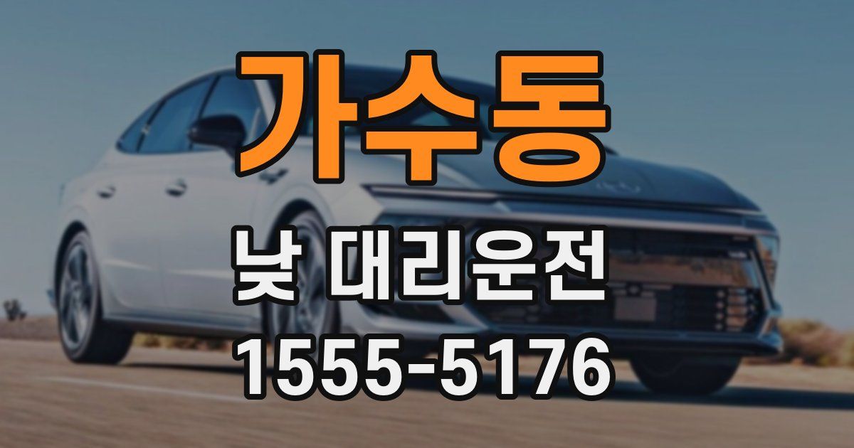 가수동 낮 대리운전