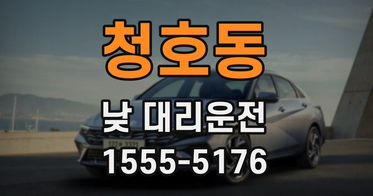 청호동 낮 대리운전