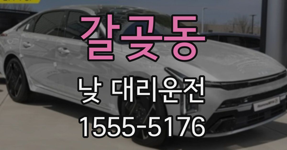 갈곶동 낮 대리운전