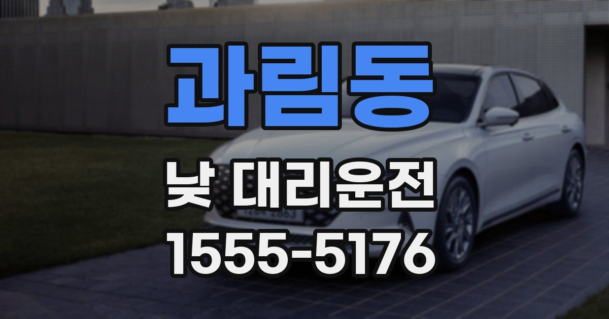 과림동 낮 대리운전