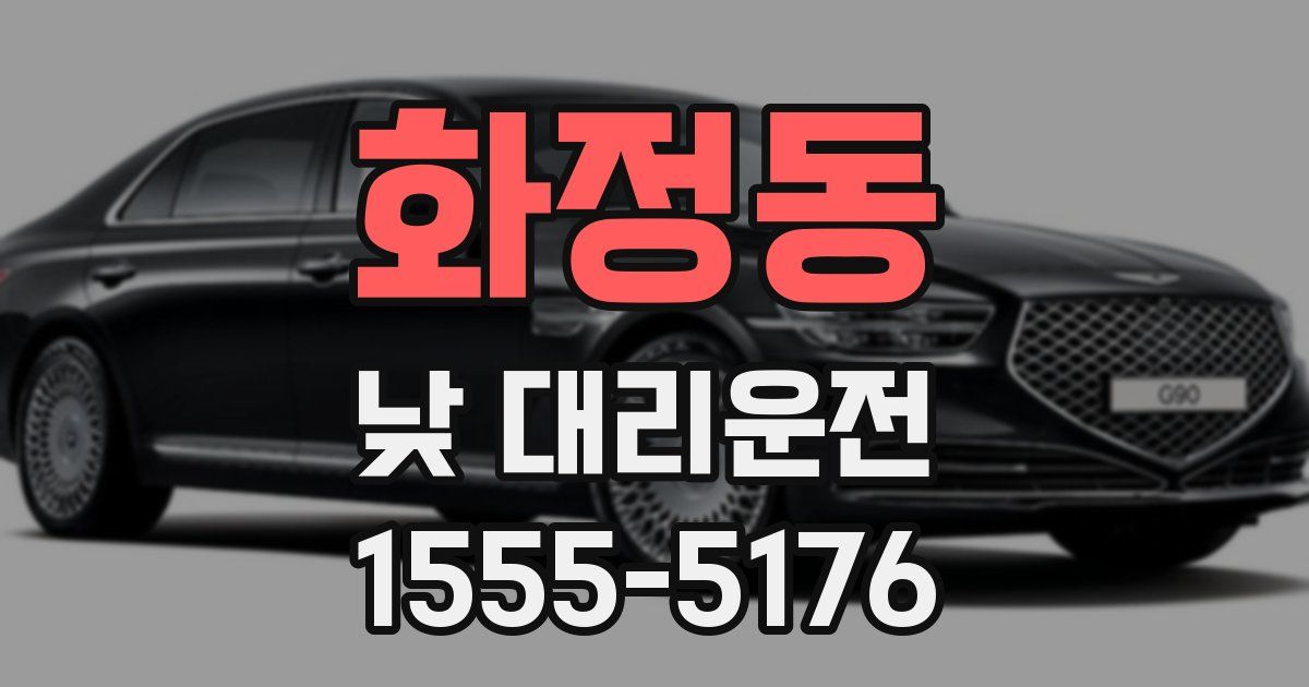 화정동 낮 대리운전