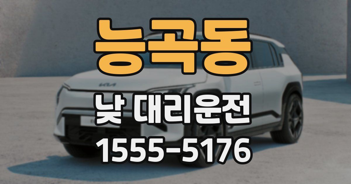 능곡동 낮 대리운전