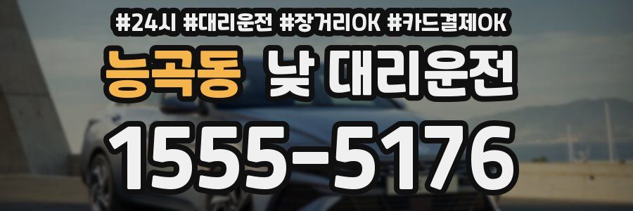 능곡동 낮 대리운전