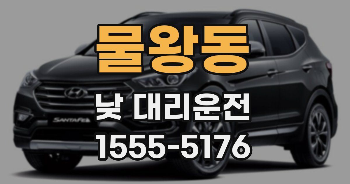물왕동 낮 대리운전