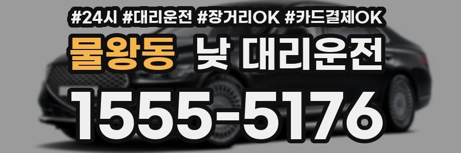 물왕동 낮 대리운전