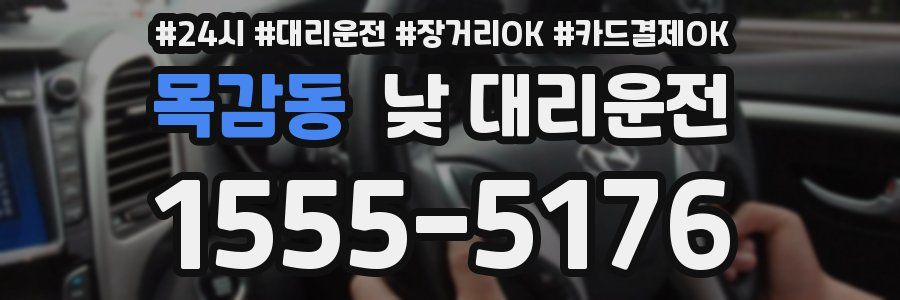 목감동 낮 대리운전