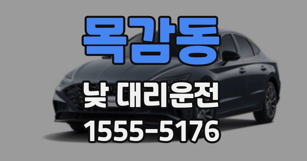 목감동 낮 대리운전