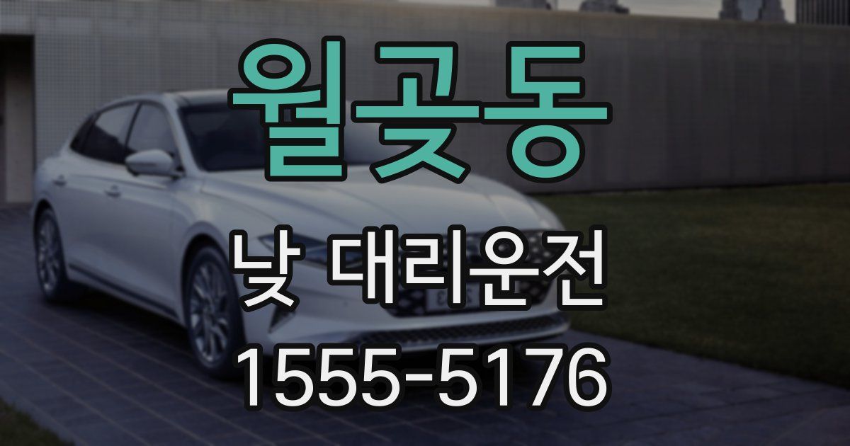 월곶동 낮 대리운전