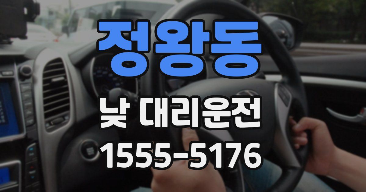 정왕동 낮 대리운전