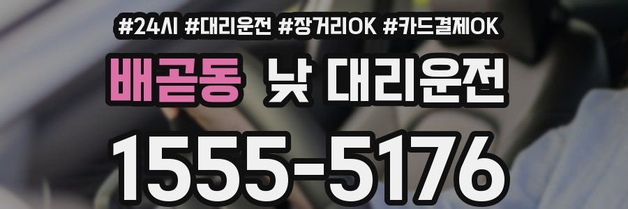 배곧동 낮 대리운전
