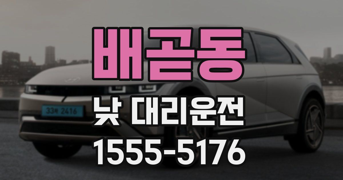 배곧동 낮 대리운전