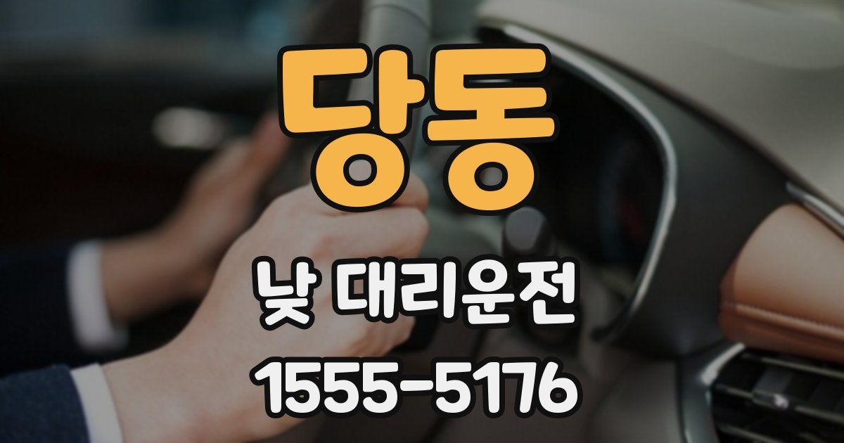 당동 낮 대리운전