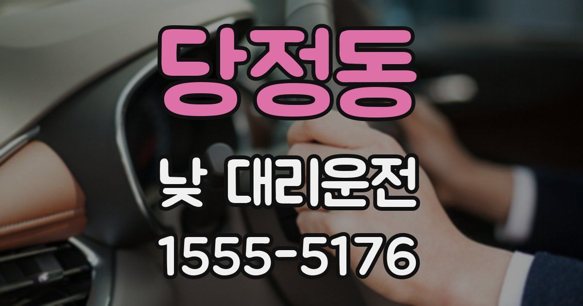 당정동 낮 대리운전