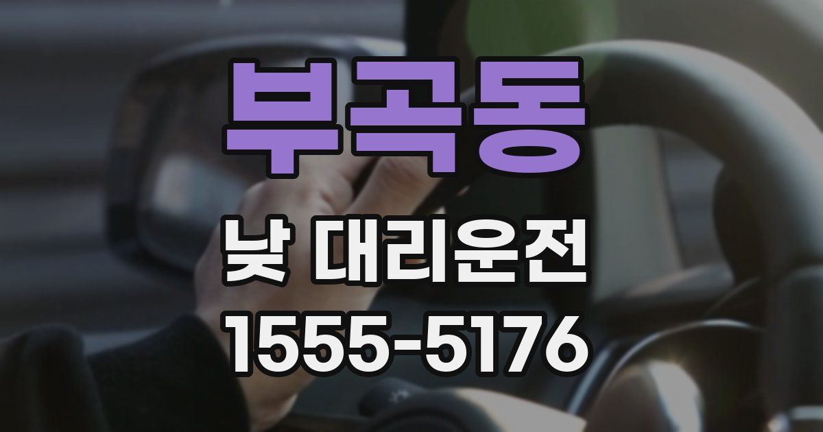 부곡동 낮 대리운전