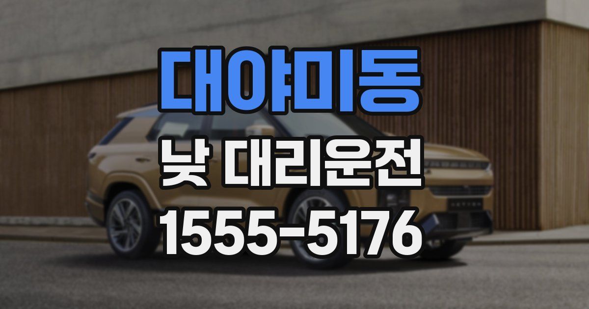 대야미동 낮 대리운전