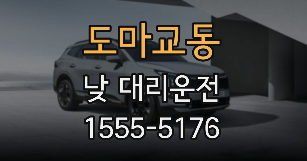 도마교동 낮 대리운전
