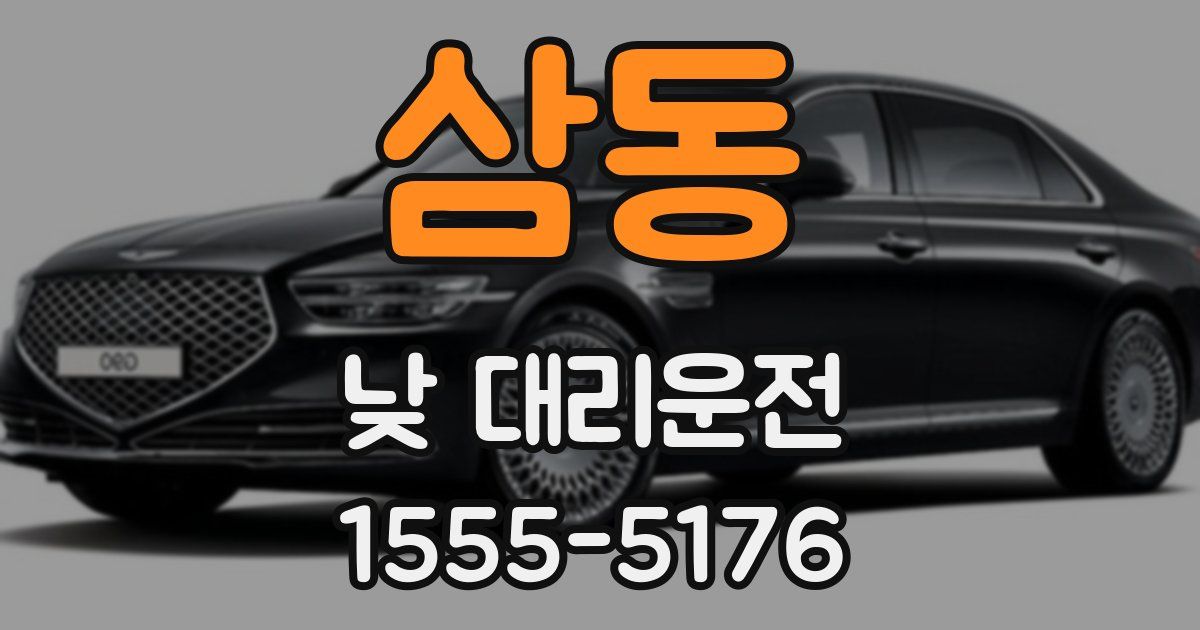 삼동 낮 대리운전