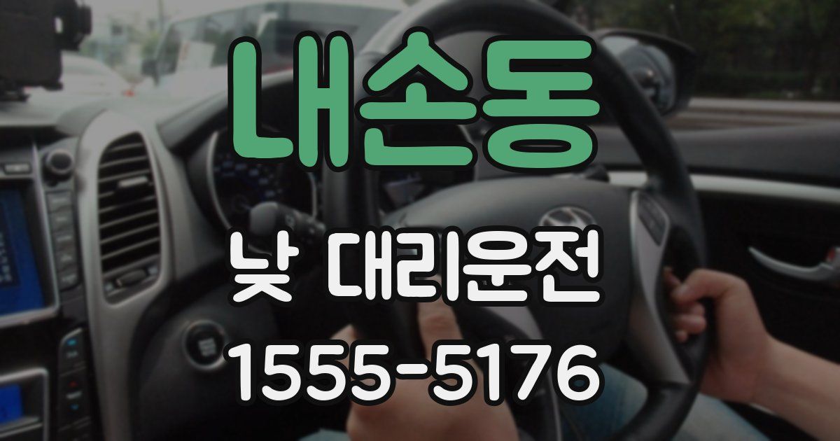내손동 낮 대리운전