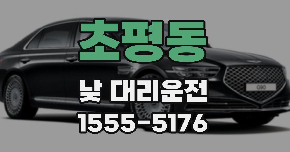 초평동 낮 대리운전