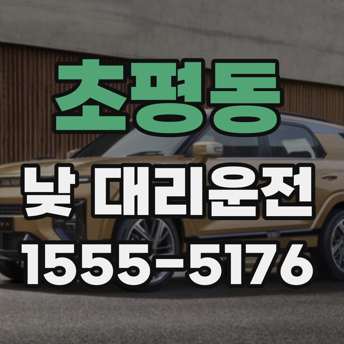 초평동 낮 대리운전