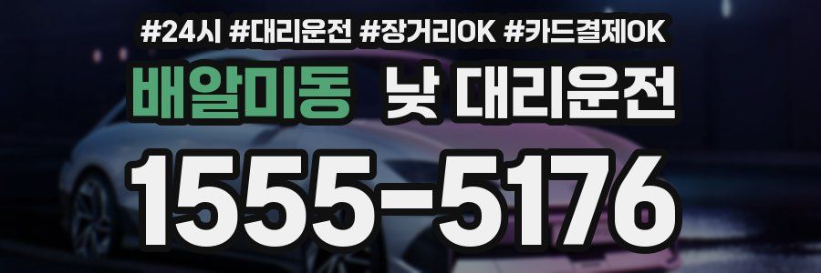 배알미동 낮 대리운전