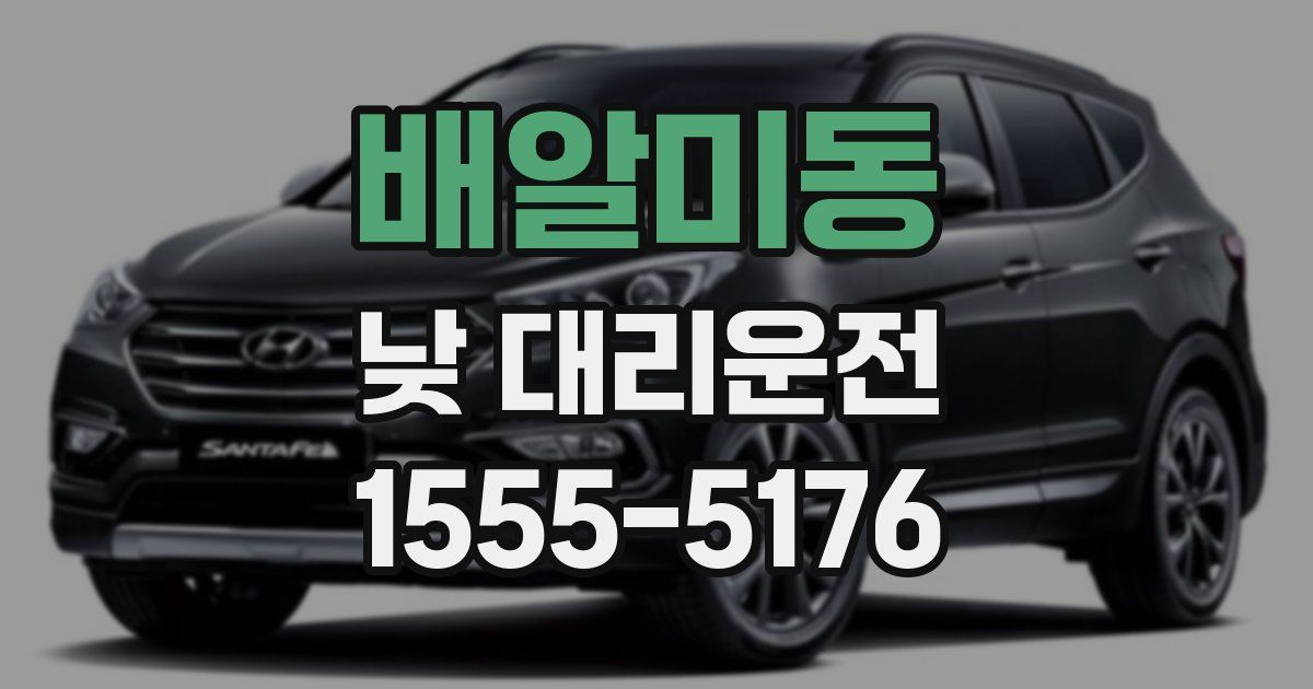 배알미동 낮 대리운전