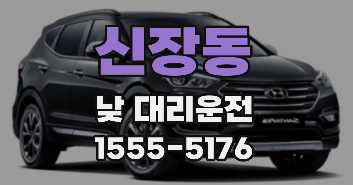 신장동 낮 대리운전