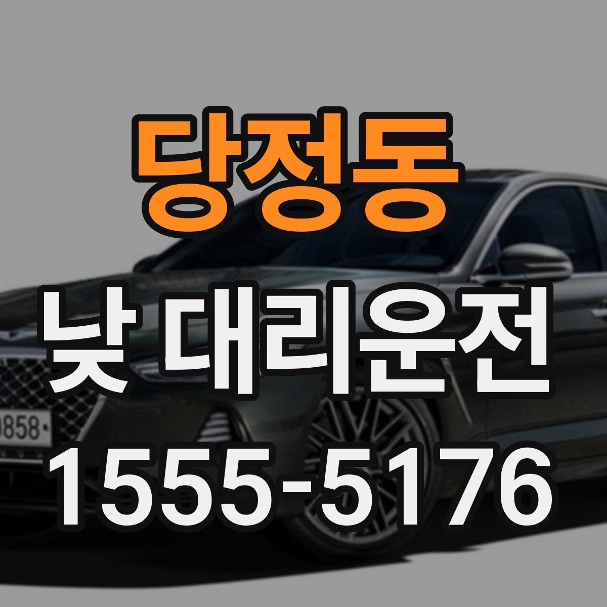 당정동 낮 대리운전