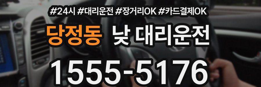 당정동 낮 대리운전