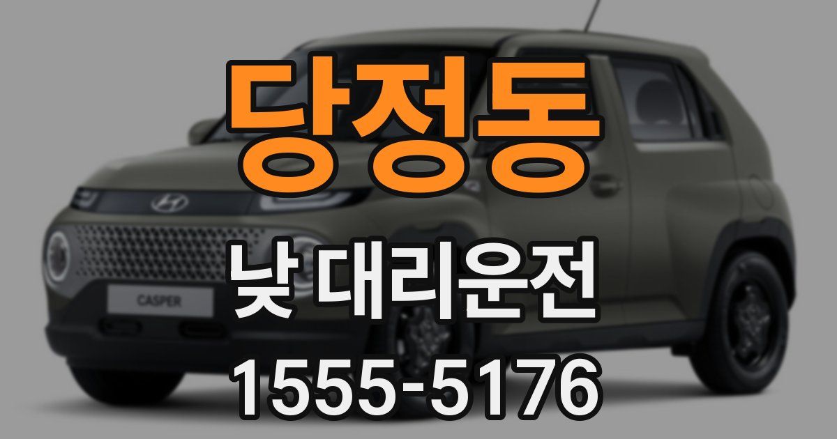 당정동 낮 대리운전