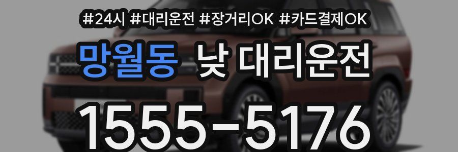 망월동 낮 대리운전