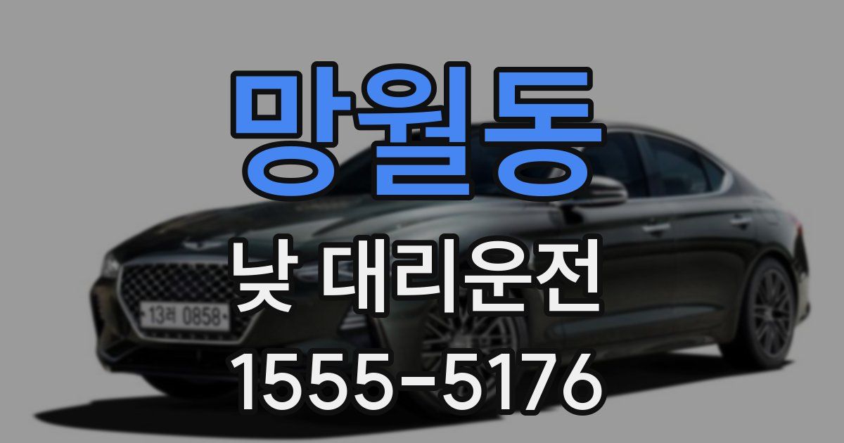 망월동 낮 대리운전