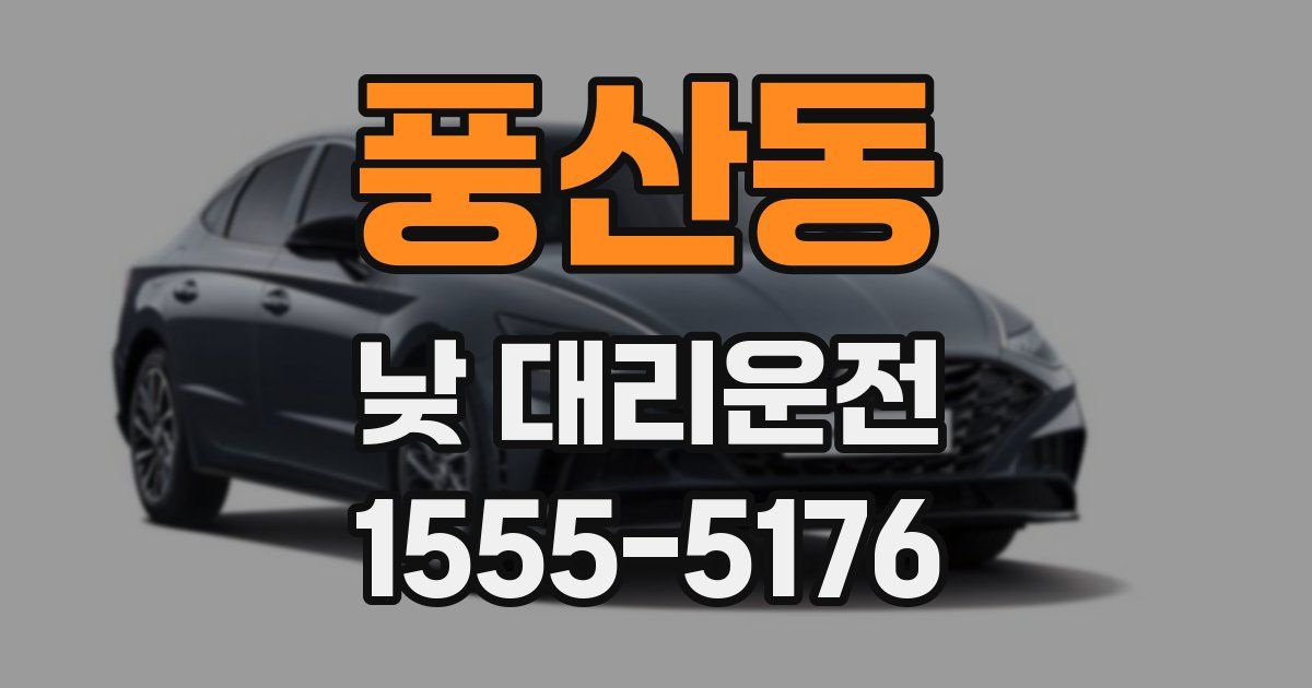 풍산동 낮 대리운전
