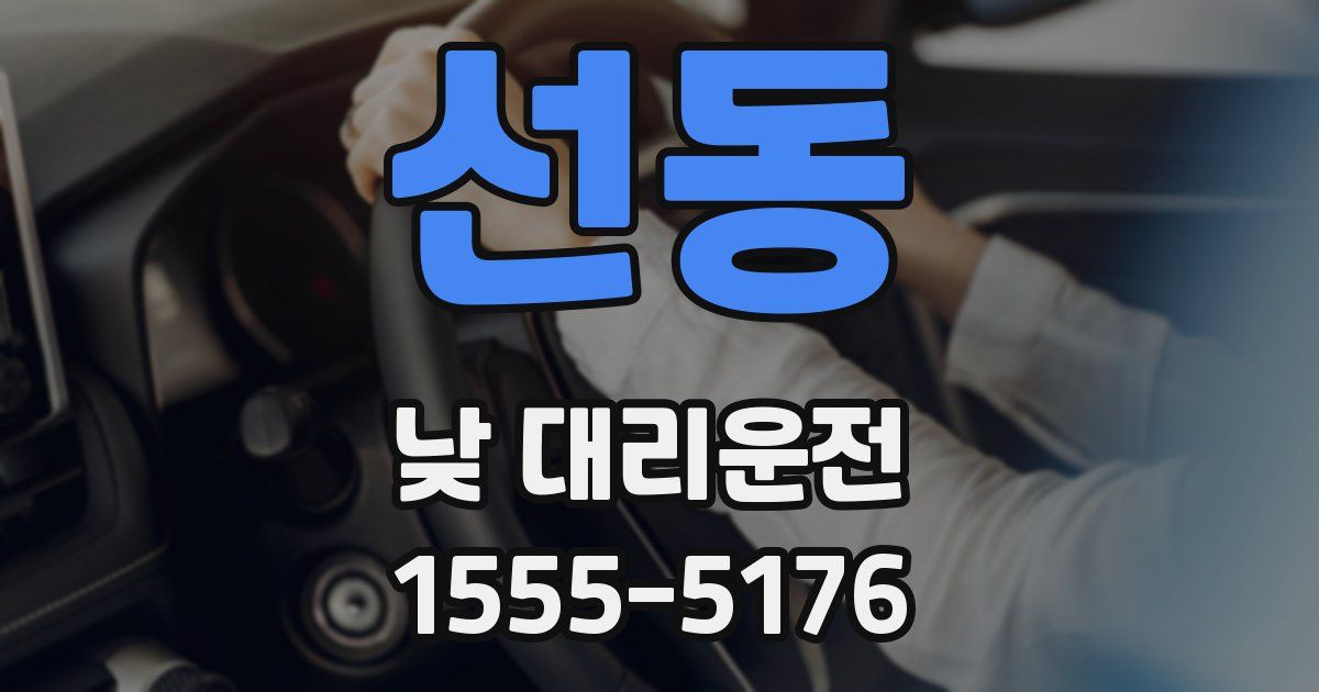 선동 낮 대리운전