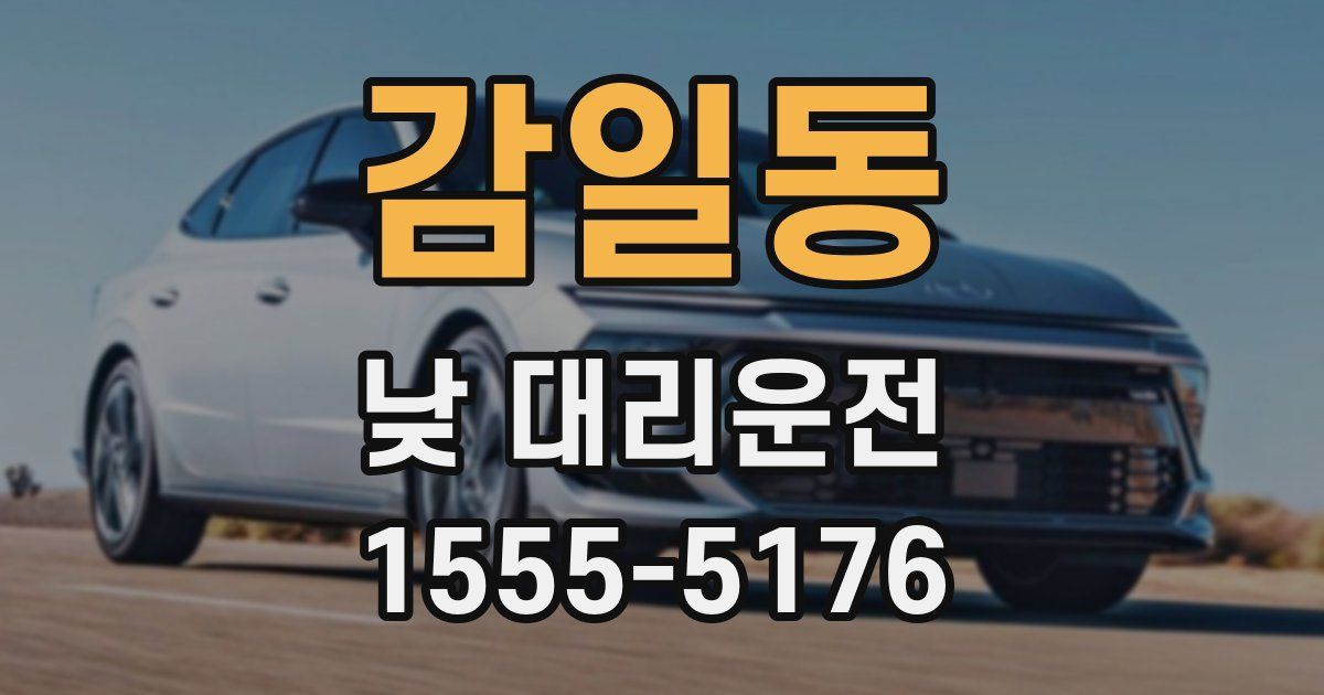 감일동 낮 대리운전