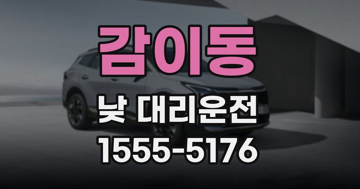 감이동 낮 대리운전