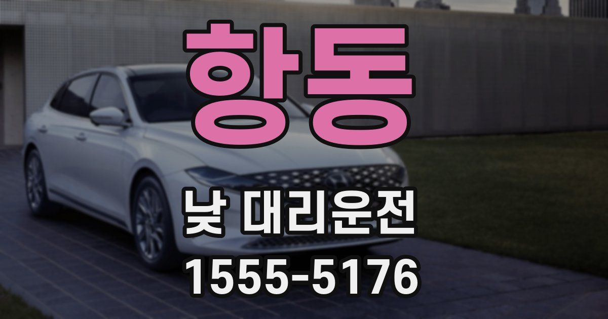 항동 낮 대리운전