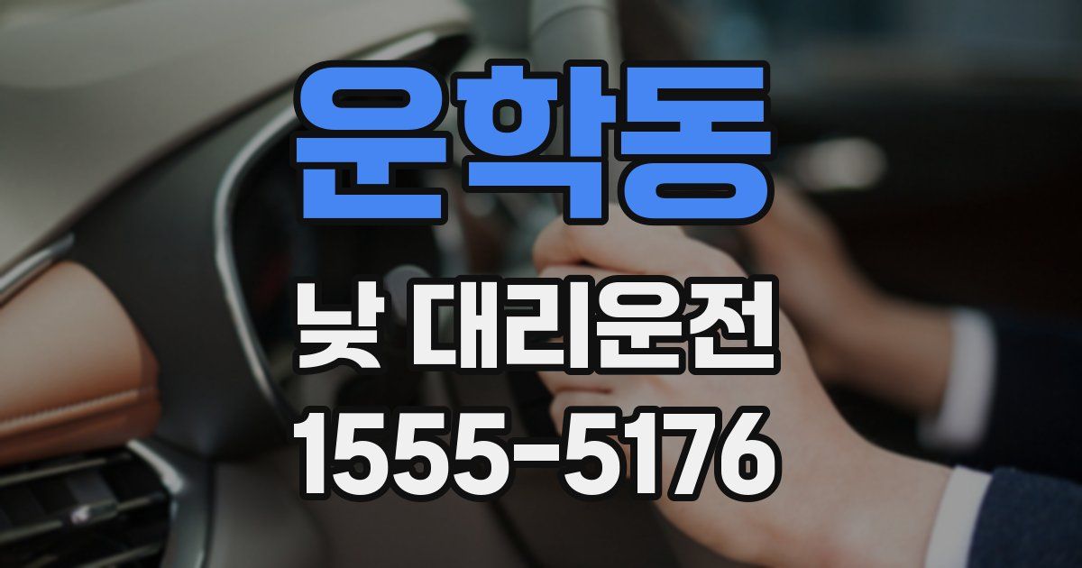 운학동 낮 대리운전