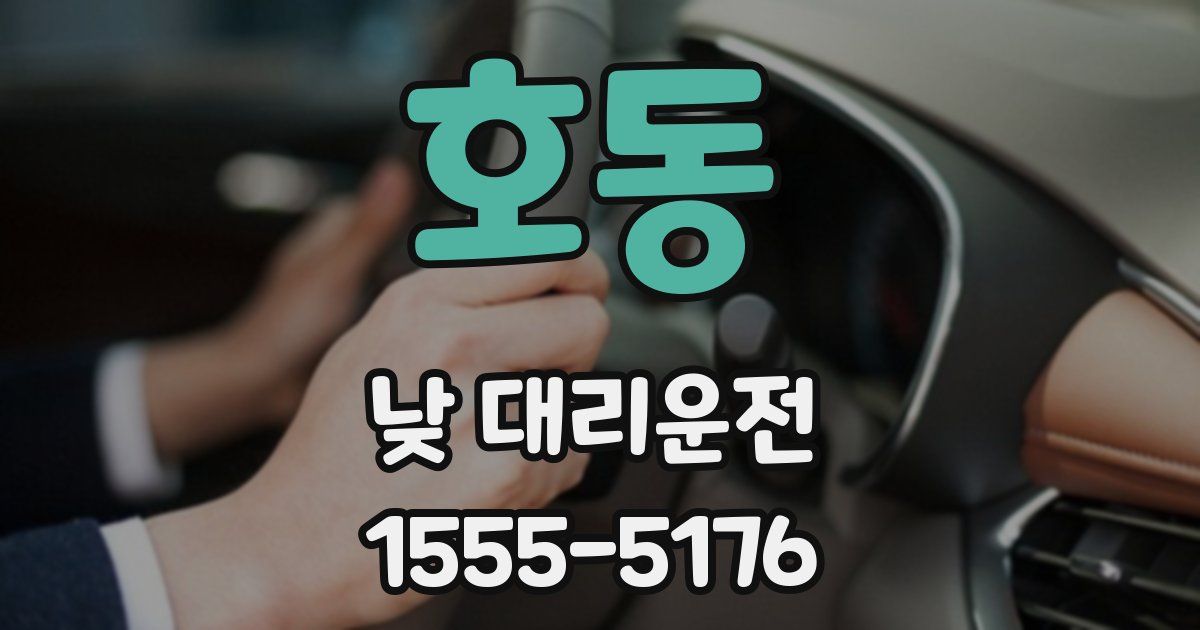 호동 낮 대리운전