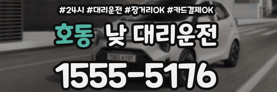 호동 낮 대리운전