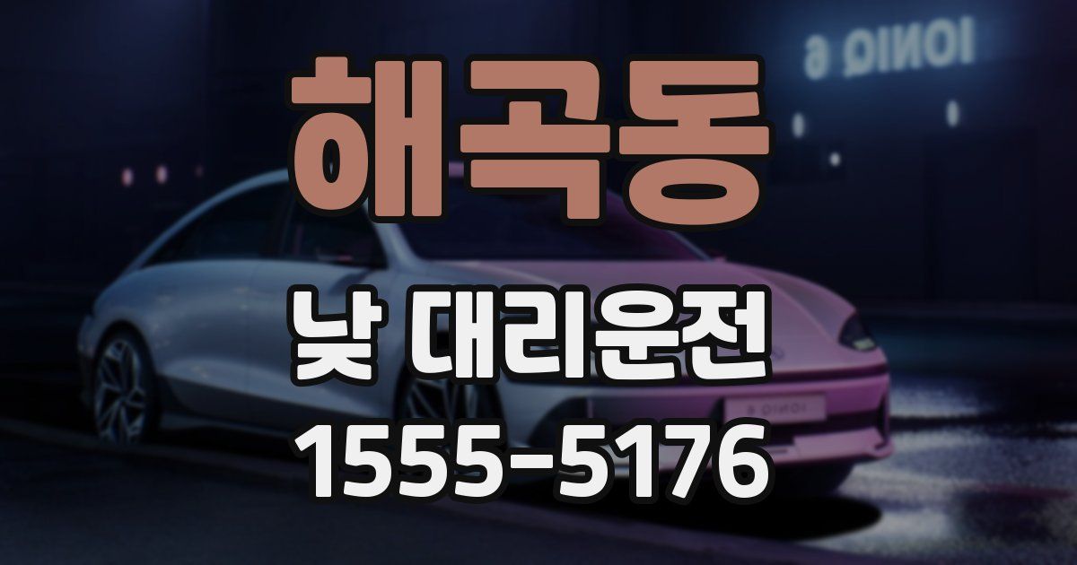 해곡동 낮 대리운전
