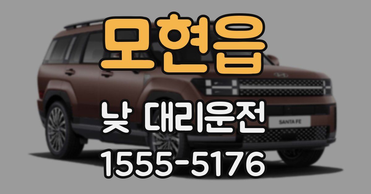 모현읍 낮 대리운전