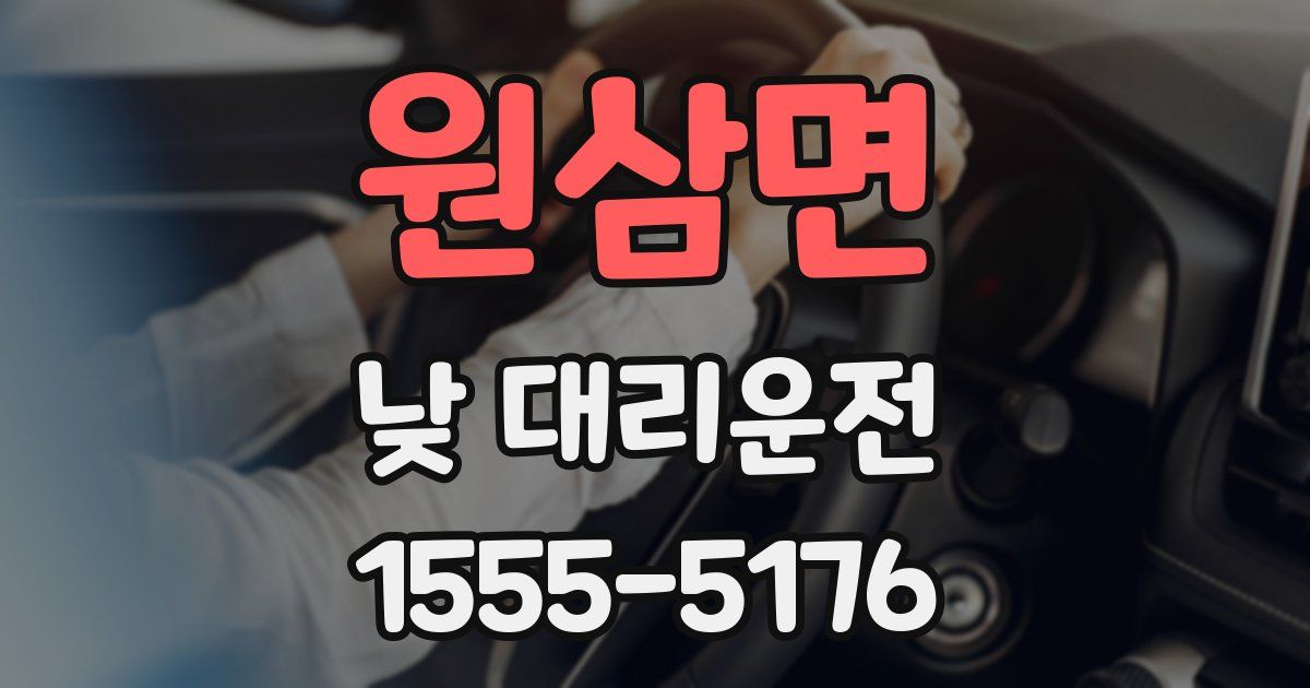 원삼면 낮 대리운전